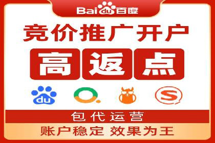 推广竞价策略优化：借鉴成功案例实现高效转化